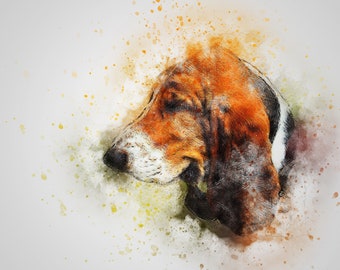 Iron-on Basset