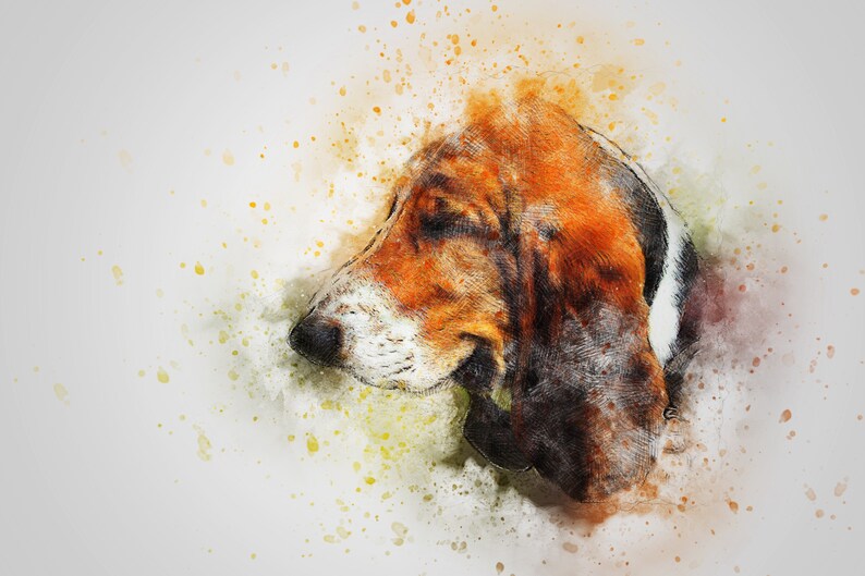 Iron-on Basset image 1