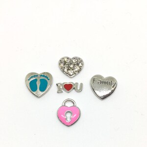 Floating Charms, Family, 5 pieces image 1