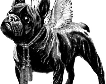 Hotfix French Bulldog No2