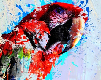 Iron-on Parrot red