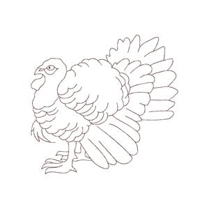 Puede incluir: Un dibujo lineal detallado de un pavo de perfil, mostrando sus plumas y características distintivas. El pavo está representado con la cabeza ligeramente girada y las plumas de la cola extendidas. La imagen es en blanco y negro.