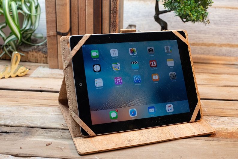 iPad mini