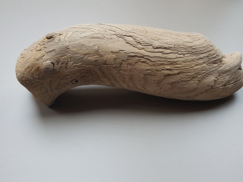 Christmas decoration Christmas decor wood supply bois flott\u00e9 sea wood Wood decor 9,5/'/' Beauty driftwood Christmas wood decor