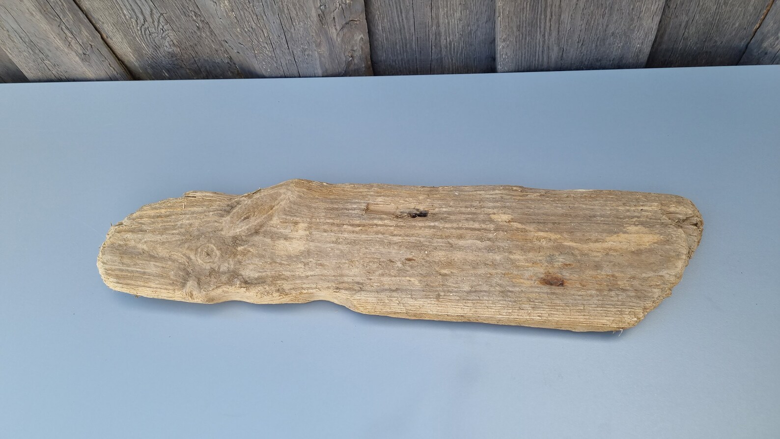 24 62 cm Flat driftwood Driftwood Piece of Wood for Etsy