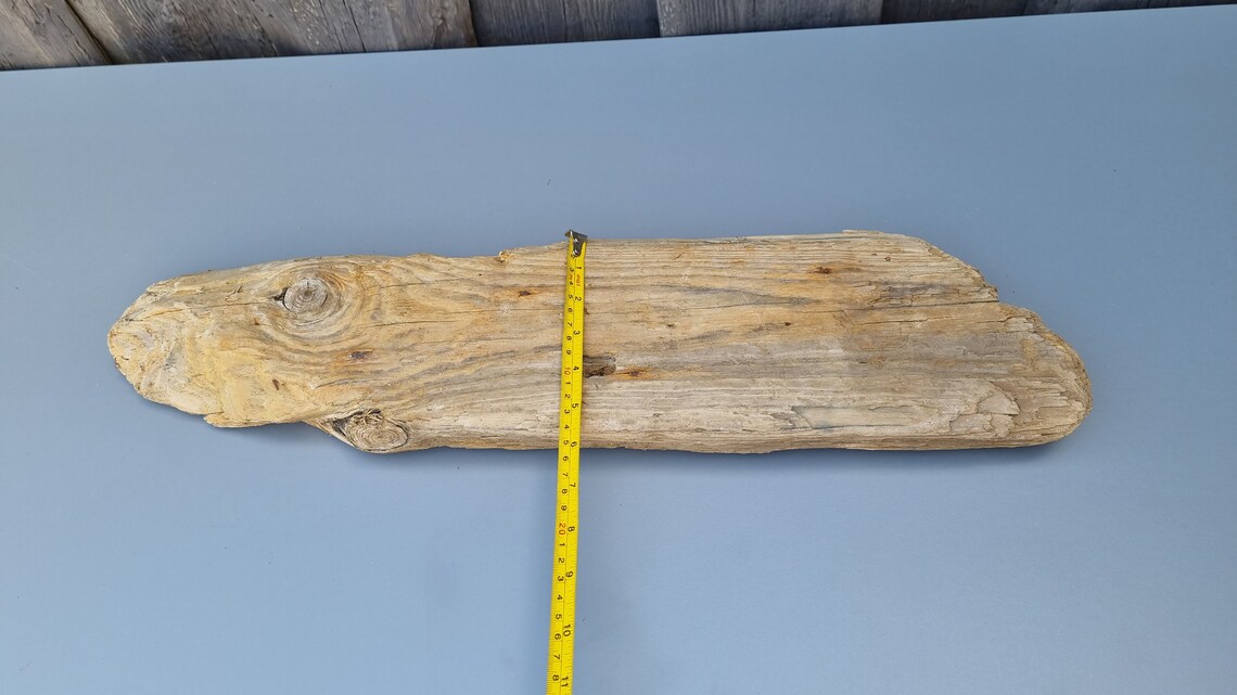 24 62 cm Flat driftwood Driftwood Piece of Wood for Etsy