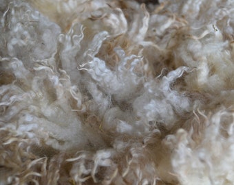 Gulf Coast Native/Romney Cross Fleeces - Raw Wool