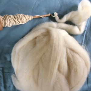 Gulf Coast Native Cross Lambswool Roving zdjęcie 1