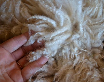 Gulf Coast Native Cross Fleeces - Raw Wool