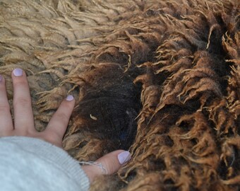 Natural colored Gulf Coast Native Fleeces (SE2SE) - Raw Wool