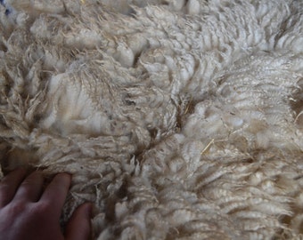 Gulf Coast Native Sheep Fleeces (SE2SE) - Raw Wool