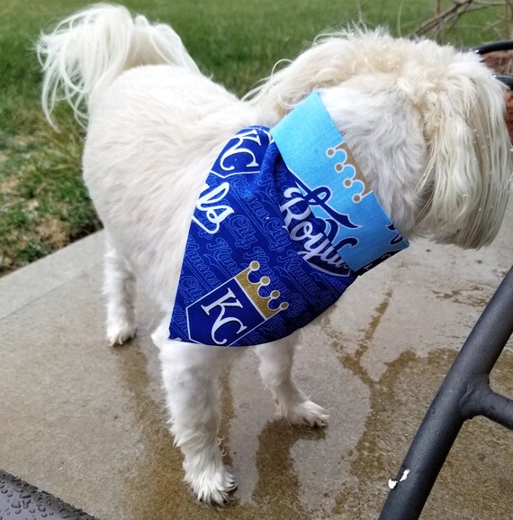 royals dog jersey