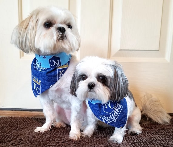 kansas city royals dog jersey