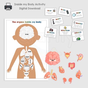 Body Organs Matching Activity, Human Body Activity, Childrens Educational Body Printable, Autism, Digital Download, Human Anatomy Kids