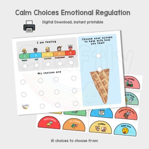 Emotional Regulation Coping Choices, Emotions Scale For Kids, Childrens Big Emotions Management, Behaviour and Feelings, Autism Resource