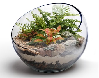Succulent Glass Bowl Etsy