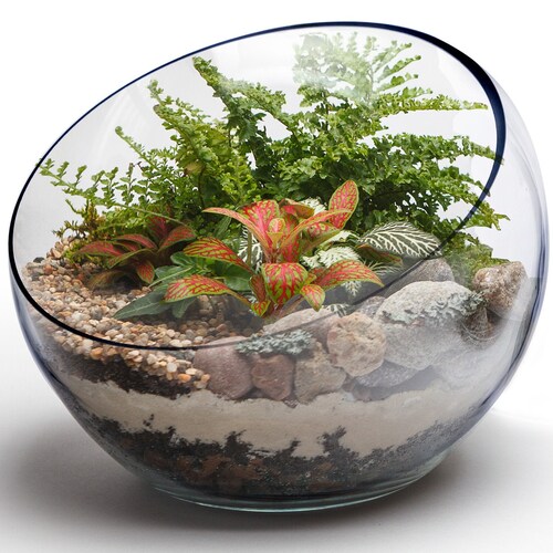 3lb White Top Dressing DIY Rocks for Succulents Cactus Plants Etsy