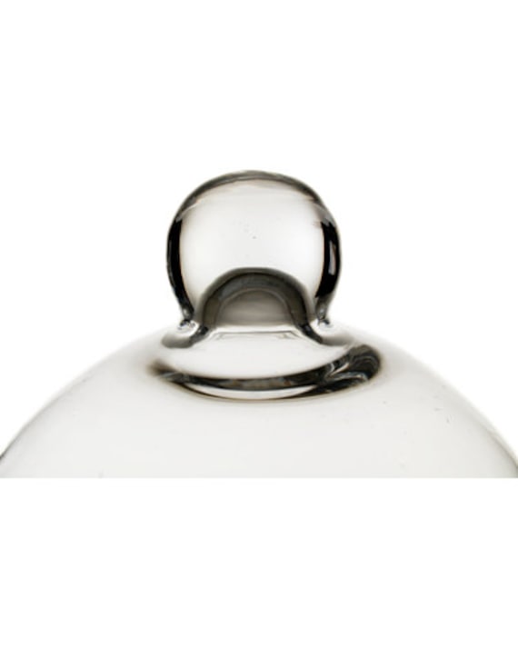 Glass Cloche Bell Dome H-17/" Open D-11.5/" Collection Cover with Wood Base 1PC