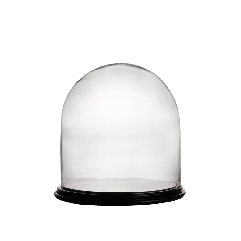 Glass Dome Cloche With Wood Base H12 W11.5 Etsy