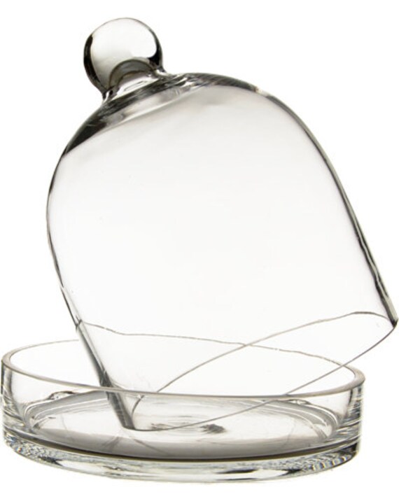 Glass Cloche Bell Dome H-17/" Open D-11.5/" Collection Cover with Wood Base 1PC
