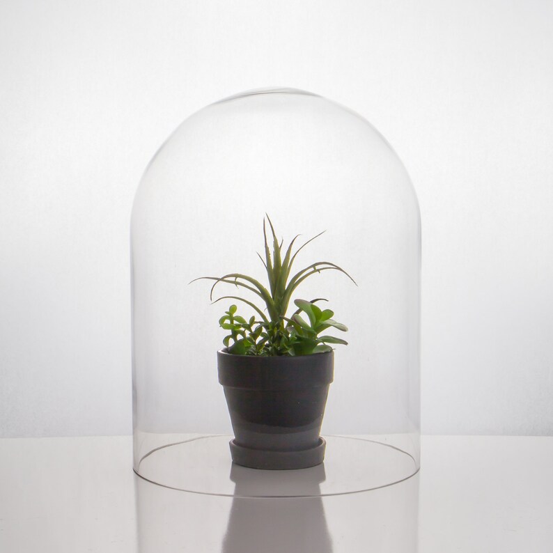 15 Packs Mini Glass Display Dome Cover Doll Crafts Cloche With Wooden Base
