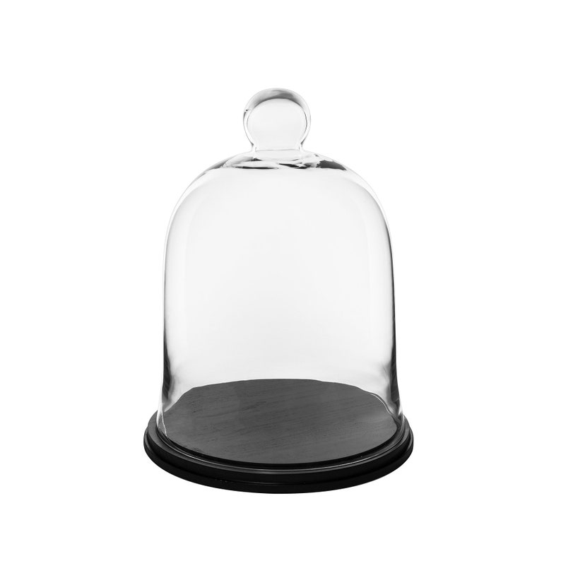 Glass Cloche Jar H 13 Open 9 5 Dome With Knob Bell Shape Cupcake Display Wedding Party Terrariums Including Black Wood Base