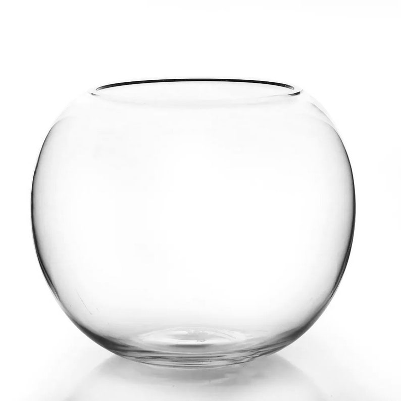 Glass Bubble Bowl 10 X 12 Large Fish Fl Wedding Centerpiece Tealight Terrarium Gardens Hand Blown Round Ball Vase