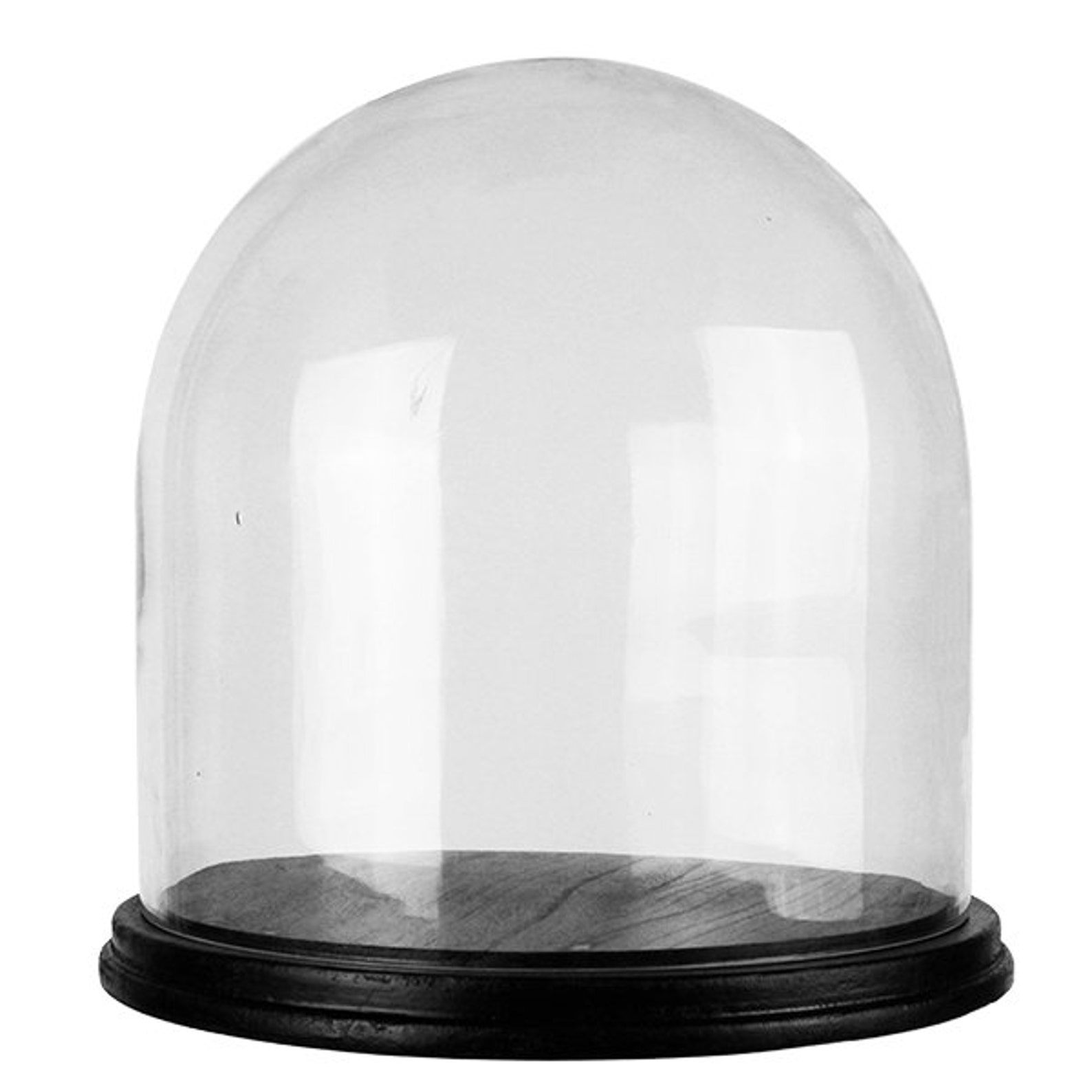 Glass Dome Cloche with Black Wood Base. H13 Open12 Etsy