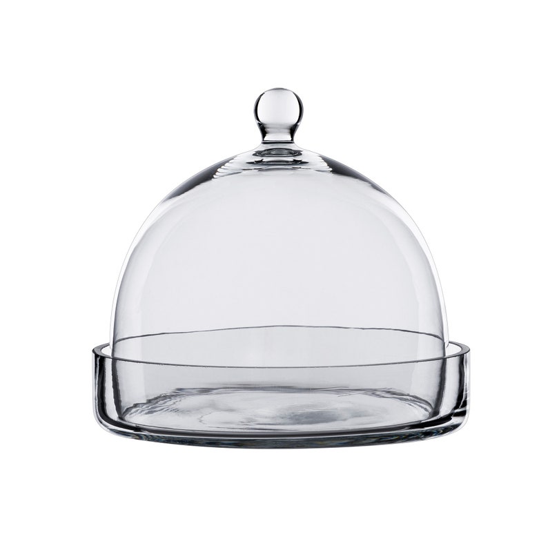 Glass Cloche Jar H 7 5 Open Dome With Knob And Tray Bell Shape Cupcake Display Wedding Party Terrariums