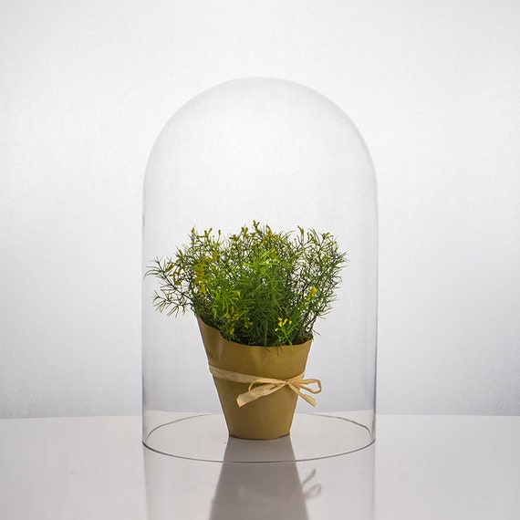 Glass Dome Cloche H 15 Open 10 Round Top Shape Etsy