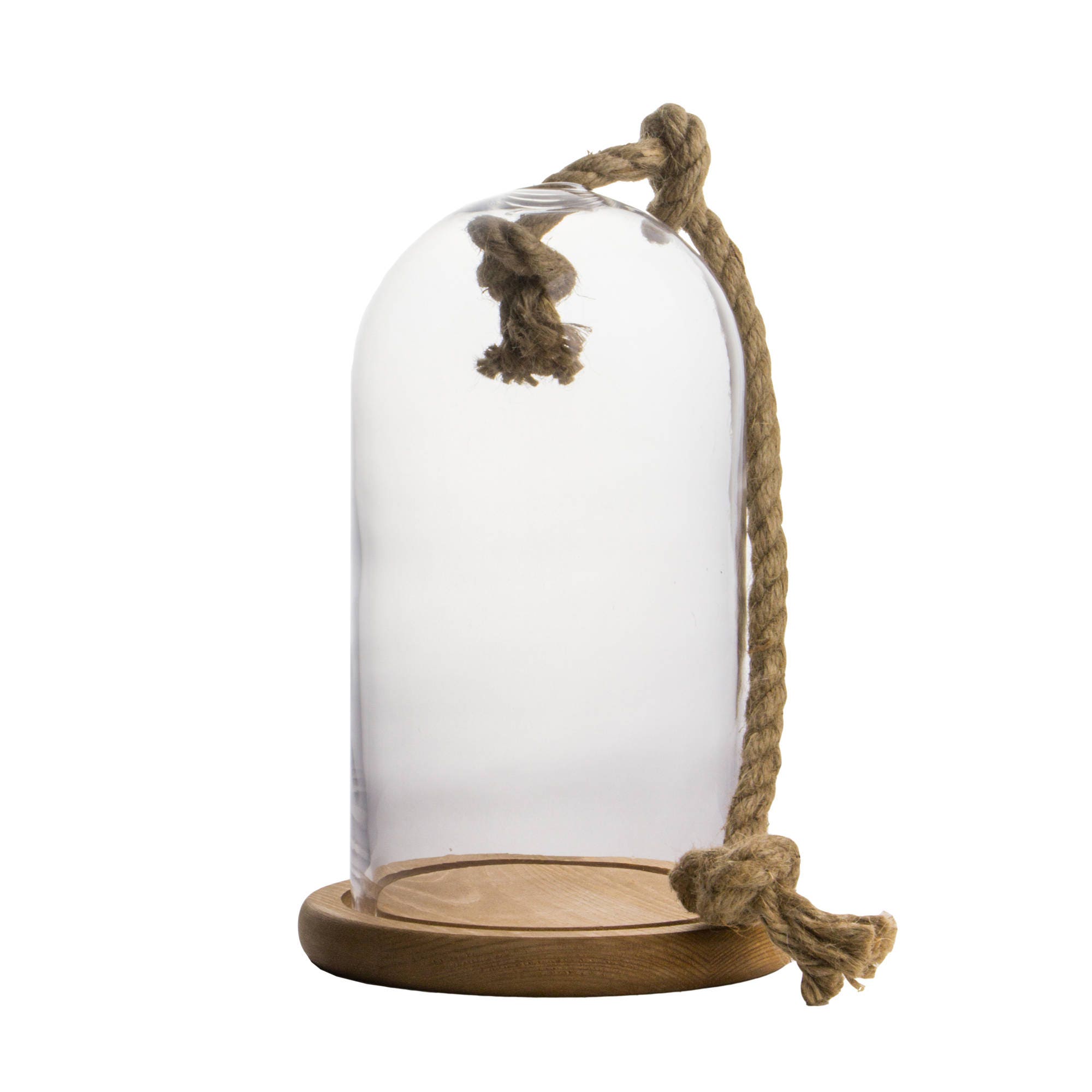 Glass Cloches Dome with Rope and Wood Base. H10.5 Pack Etsy