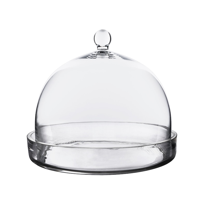 Glass Bell Dome Cloche With Knob and Glass Tray h8.5 Etsy