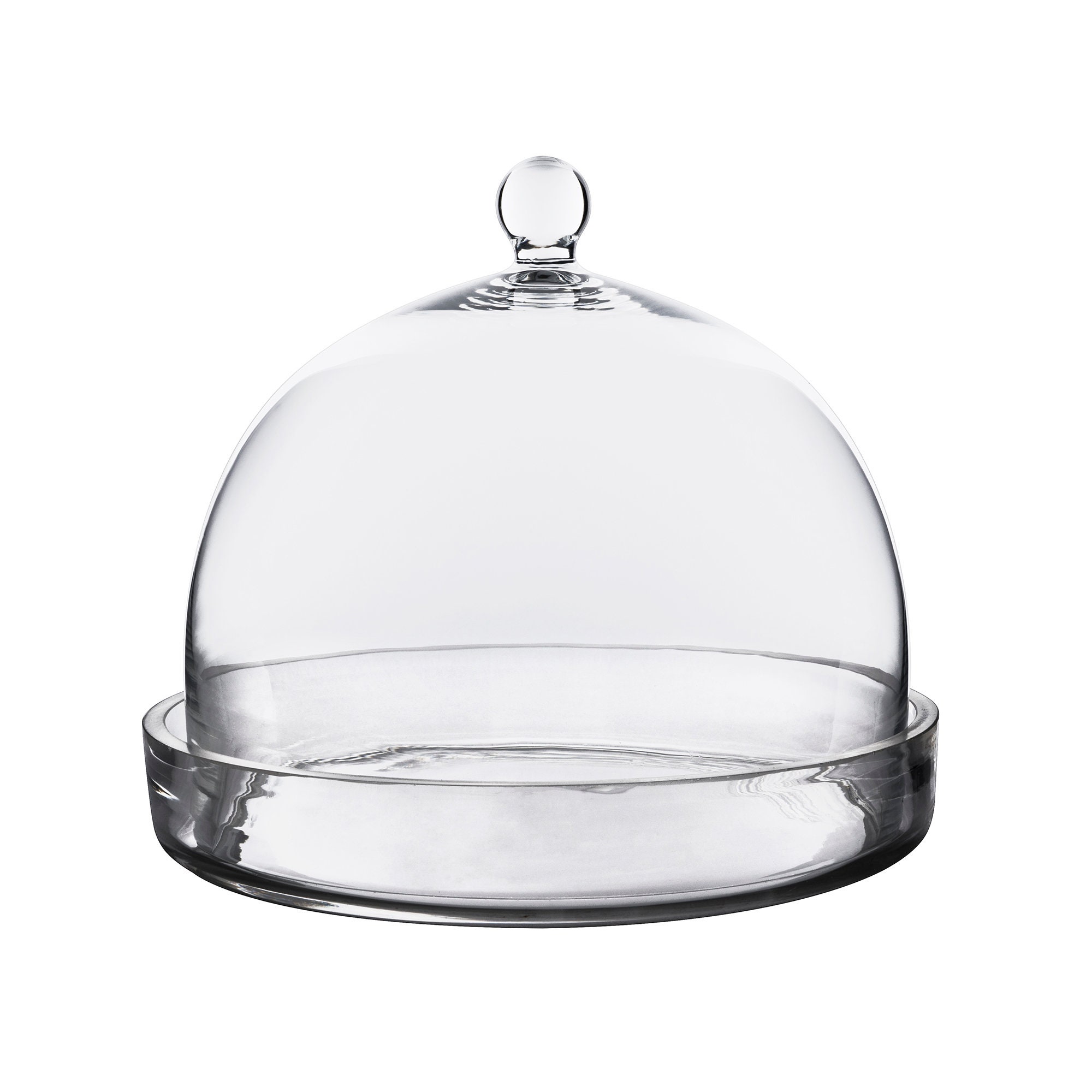 Glass Cloche with Tray including Glass Tray H8.5 inches Etsy