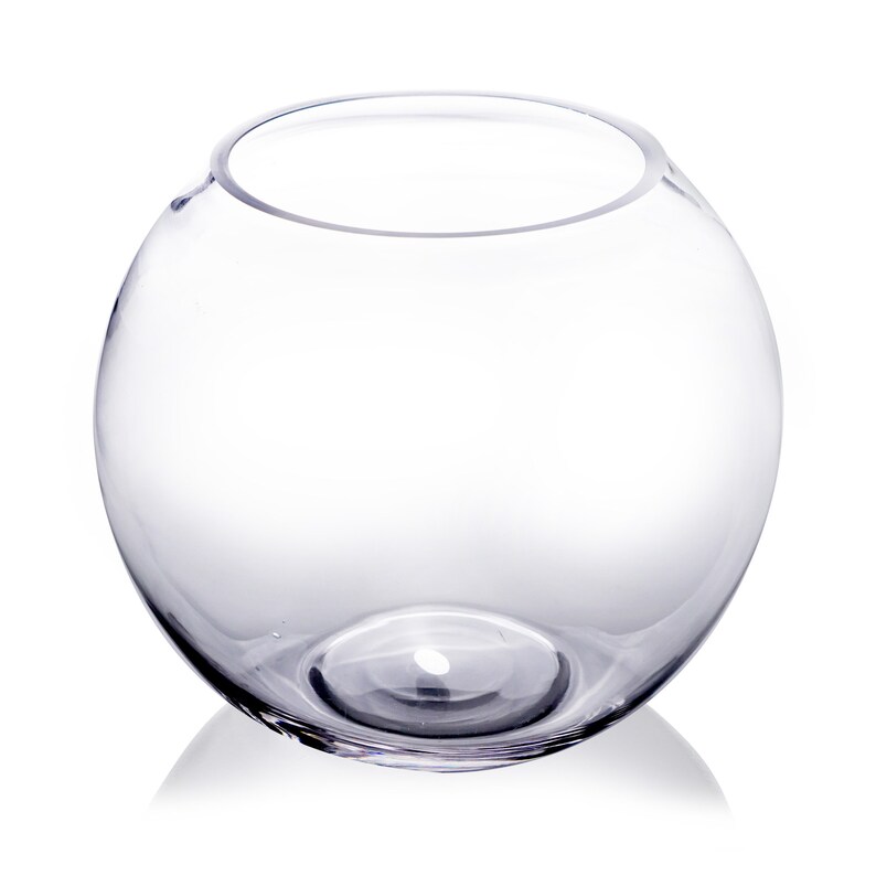 large fish bowl large fish bowl