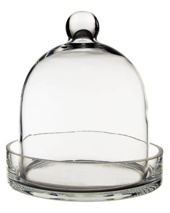 Glass Cloche Bell Dome H-17/" Open D-11.5/" Collection Cover with Wood Base 1PC