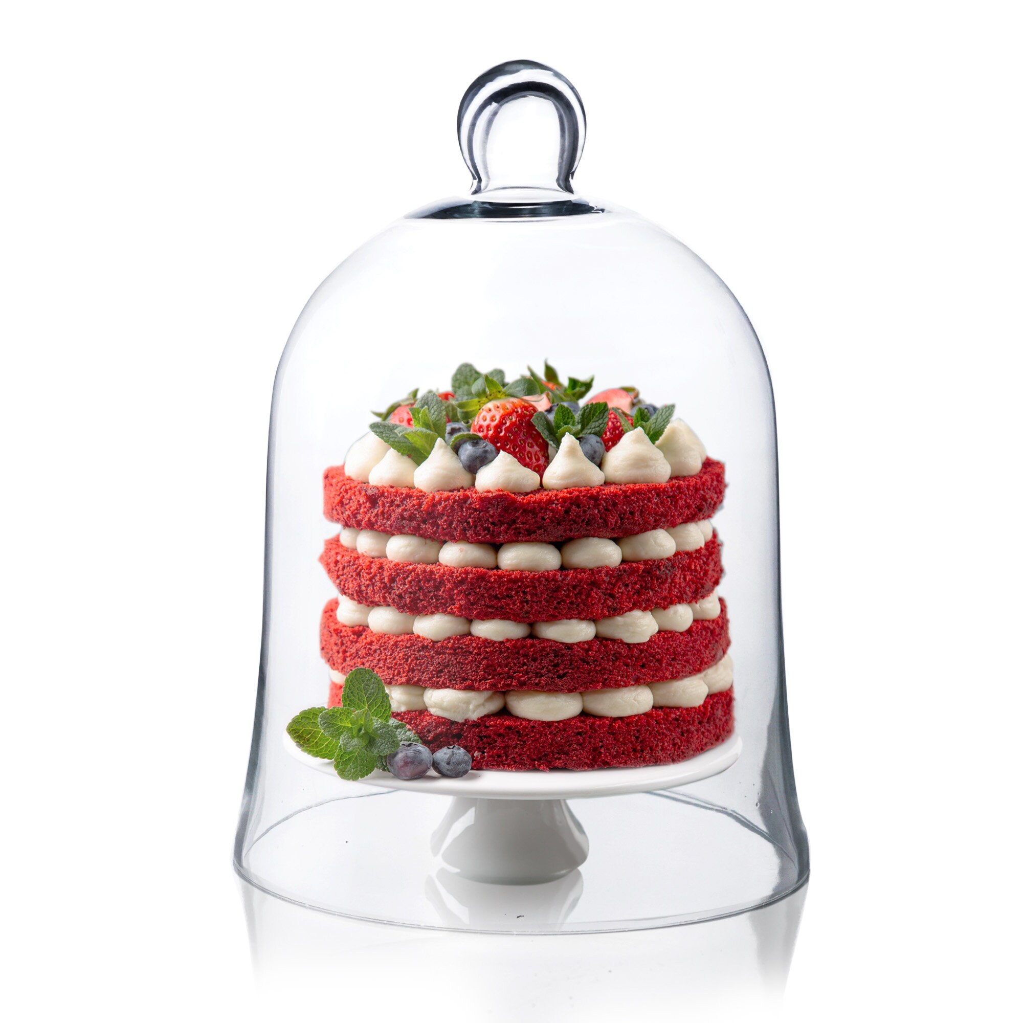 Glass Bell Dome Cloche (H-12" W-8.5") | Multiple Pack Choic…