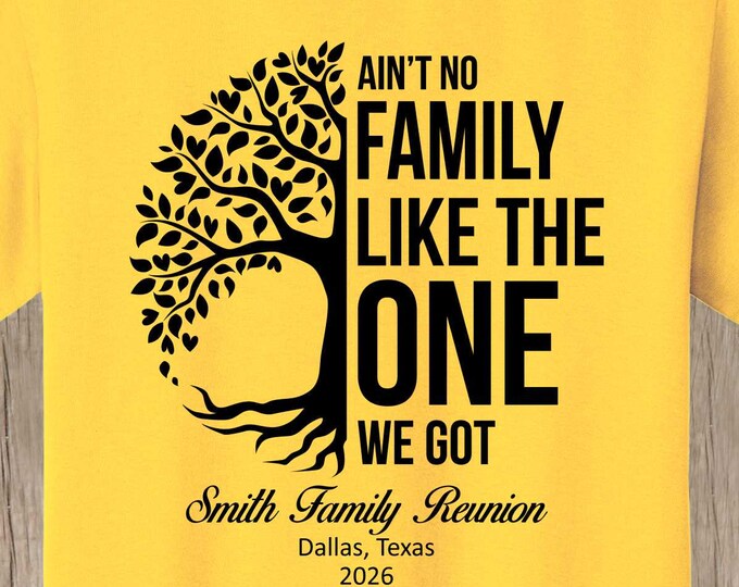 Family Reunion T Shirt - Ain't No Family Like the One We Got plus your family name, year, and location if you wish - bulk discount available
