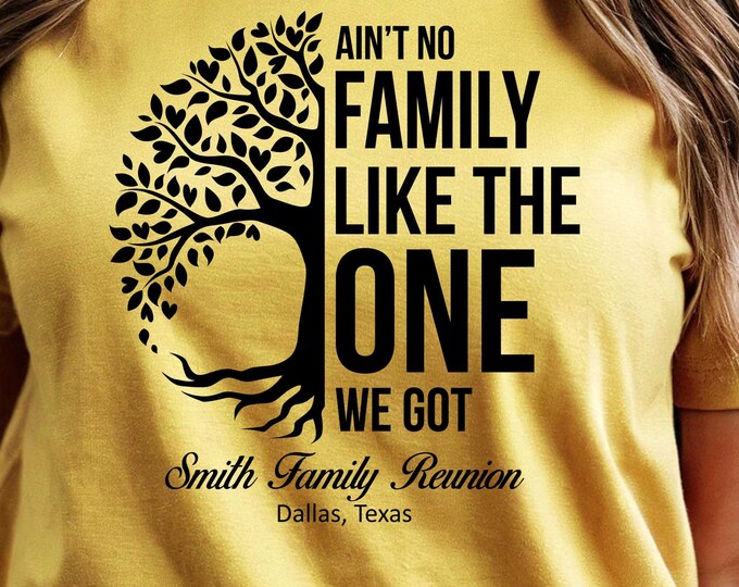 Family Reunion T Shirt - Ain't No Family Like the One We Got plus your family name, year, and location if you wish - bulk discount available