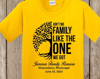 Family Reunion T Shirt - Ain't No Family Like the One We Got plus your family name, year, and location if you wish - bulk discount available