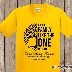 Family Reunion T Shirt - Ain't No Family Like the One We Got plus your family name, year, and location if you wish - bulk discount available