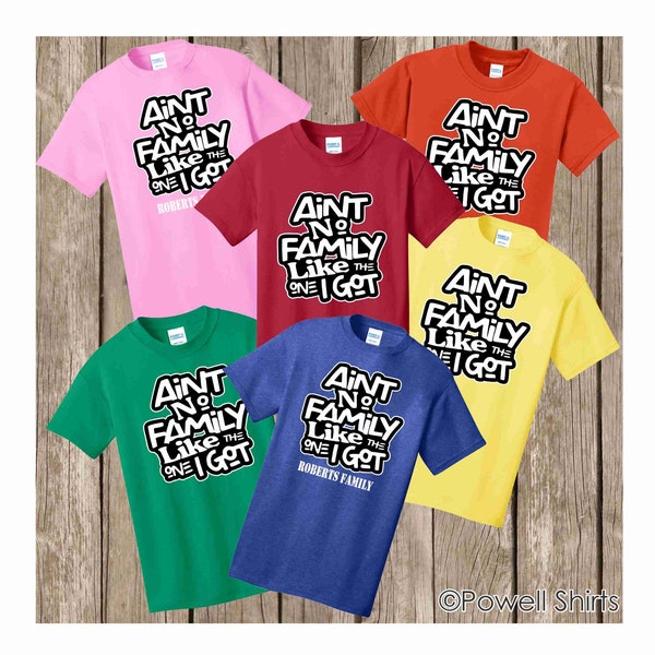 Family Reunion Ain't No Family Like the One I Got T shirt - several colors and sizes available - bulk discount also available - Can add name