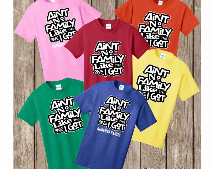 Family Reunion Ain't No Family Like the One I Got T shirt - several colors and sizes available - bulk discount also available - Can add name