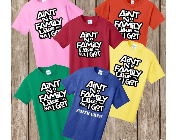 Family Reunion Ain't No Family Like the One I Got T shirt - several colors and sizes available - bulk discount also available - Can add name