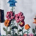 PatternHausFiberArts