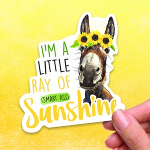 Ray of Sunshine Sticker , Smart Ass Decal, Funny Sticker, Laptop Decal, Donkey Decal, Vinyl Sticker, Sarcastic Sticker, Water Bottle Decal