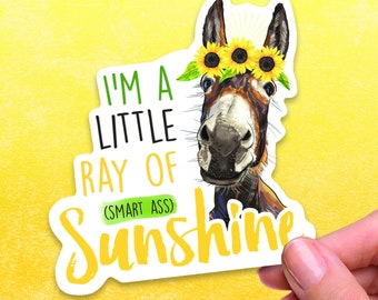 Ray of Sunshine Sticker , Smart Ass Decal, Funny Sticker, Laptop Decal, Donkey Decal, Vinyl Sticker, Sarcastic Sticker, Water Bottle Decal