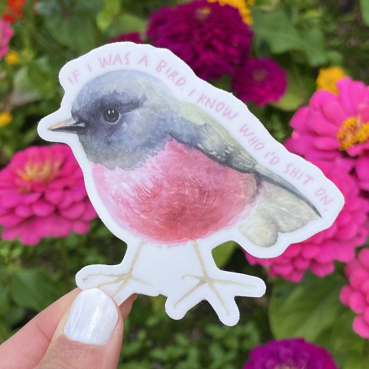 If I Was A Bird I Know Who I'd Shit on Sticker, Funny Bird Decal, Pink ...