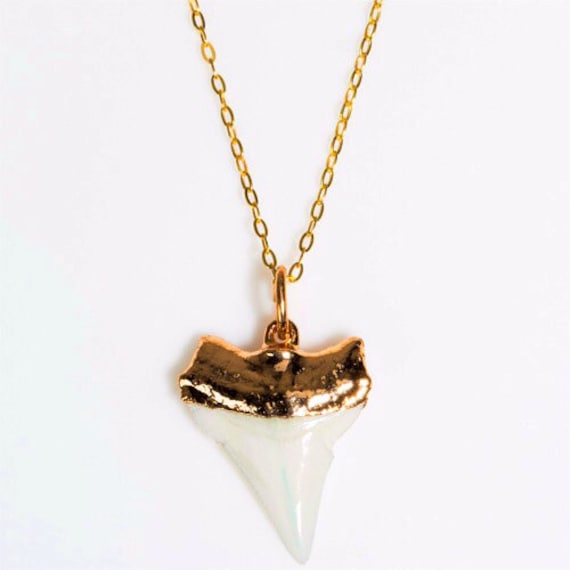 White Gold Dipped Shark Tooth Necklace Real 14k - 14k Gold Shark Tooth Pendant White Gold Dipped Shark Tooth Necklace Real 14k - 14k Gold Shark Tooth Pendant
