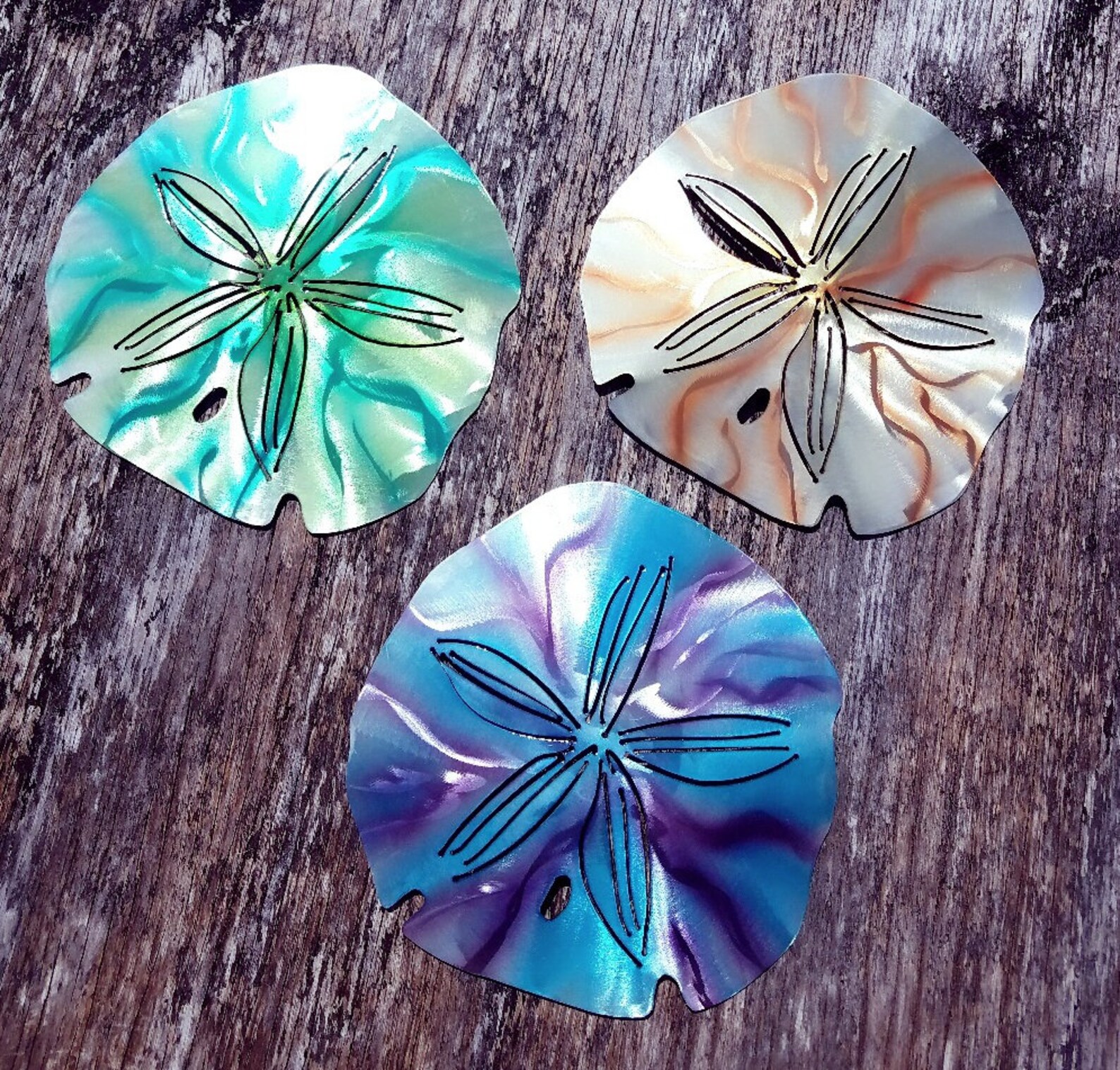 Sand Dollar Wall Art Metal Sand Dollar Ocean Decor Beach - Etsy Singapore