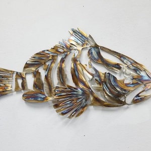 Goliath Grouper